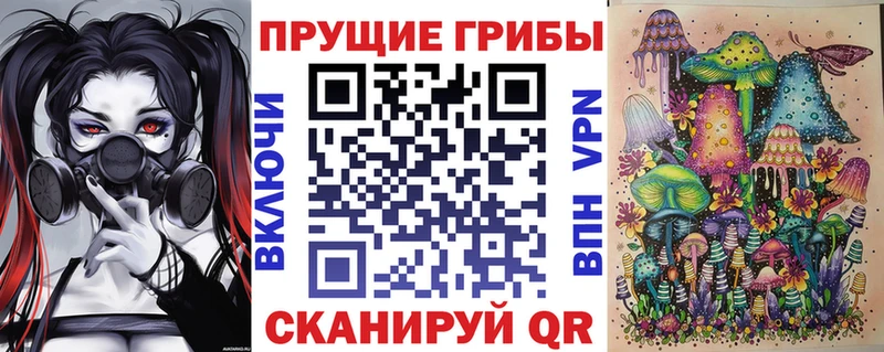 сайты даркнета какой сайт  Новомосковск  Галлюциногенные грибы мицелий 